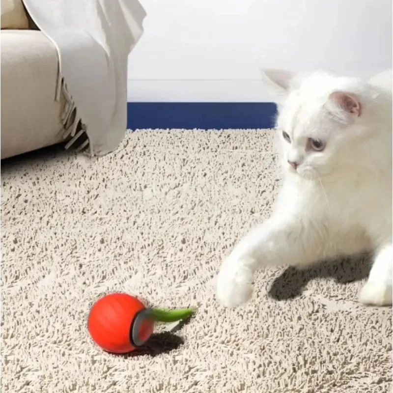 Bolinha Pet Com Rolamento Automático Train