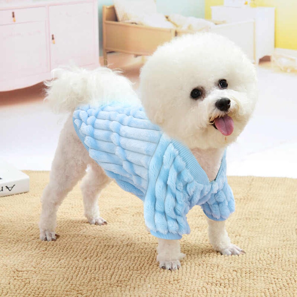 Casaquinho Pet Cutie