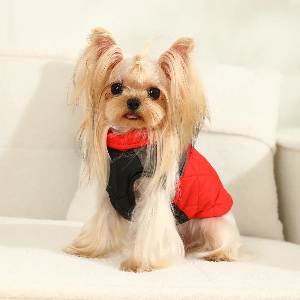 Colete Pet Witmi
