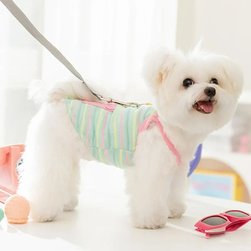 Blusa Pet Regatinha Bibi