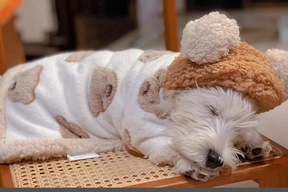 Roupinha Pet Poncho