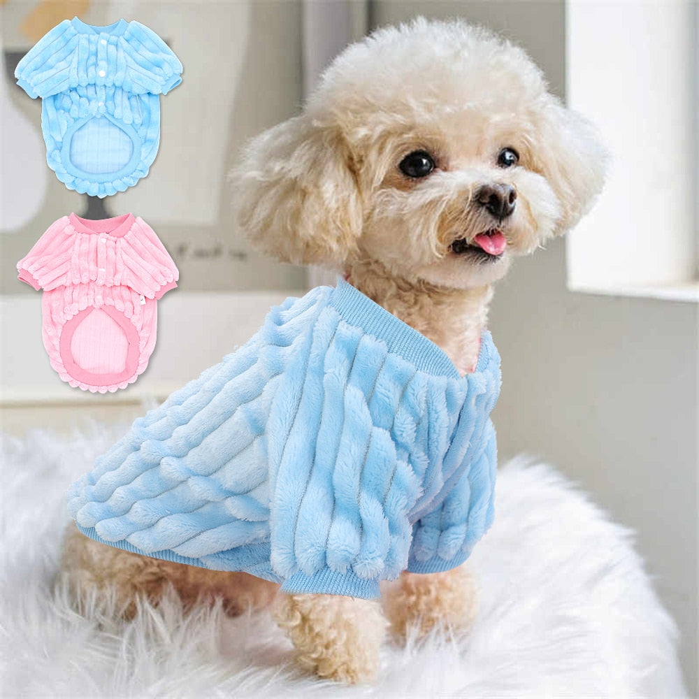 Casaquinho Pet Cutie