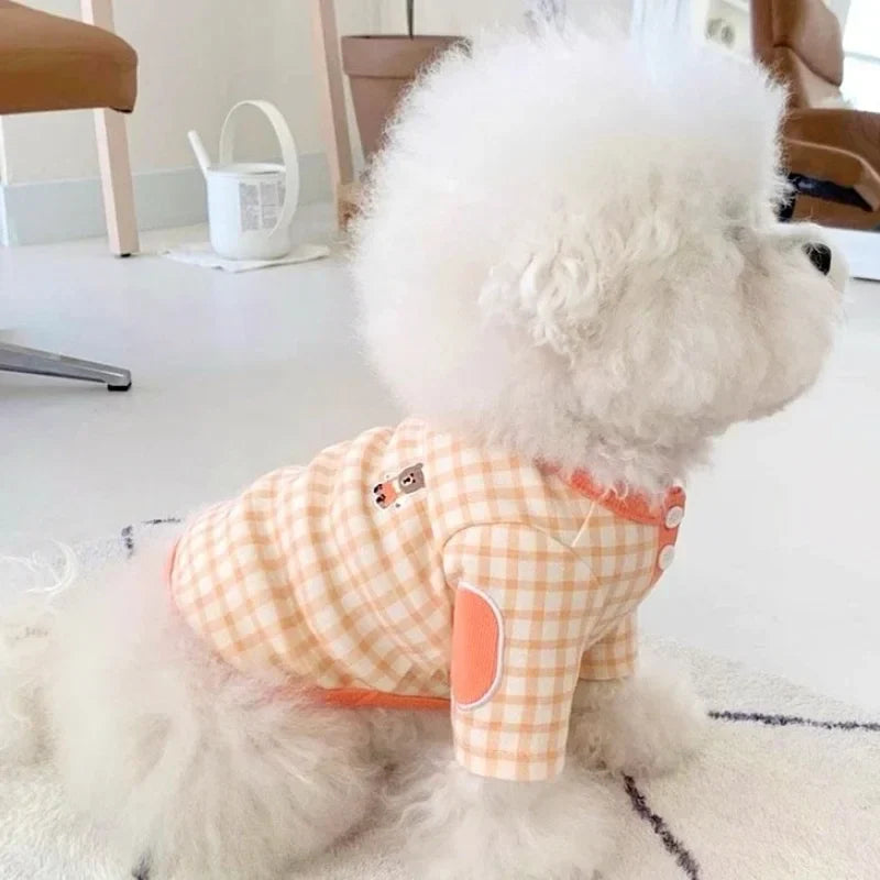 Blusinha Pet Montivi