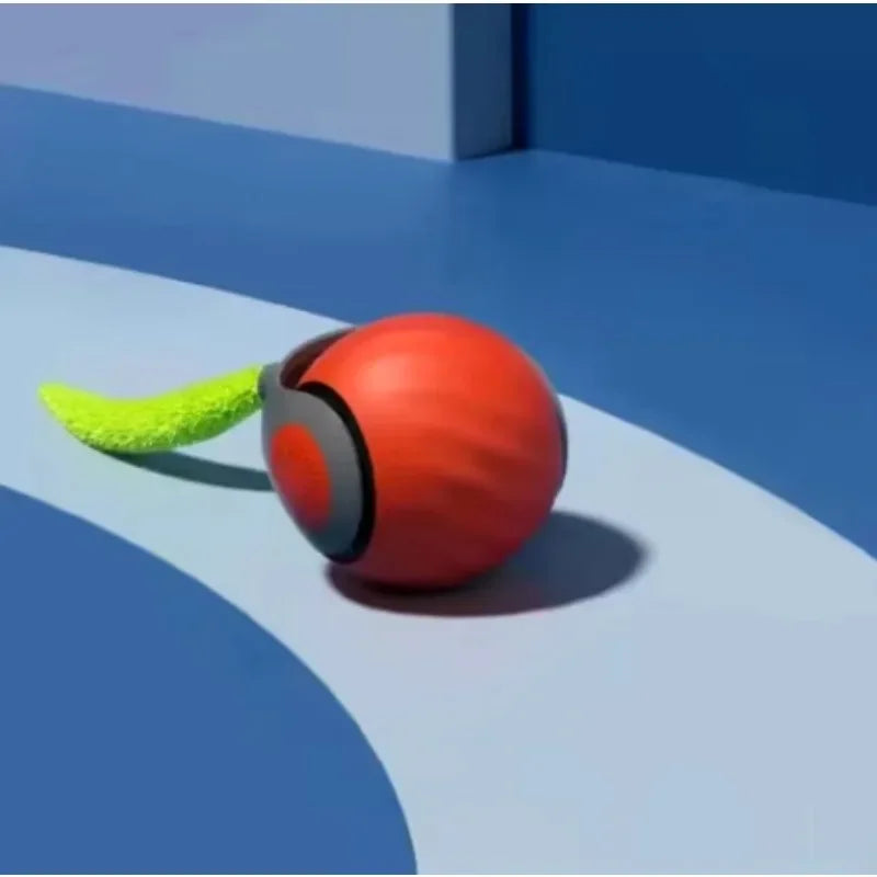Bolinha Pet Com Rolamento Automático Train