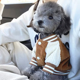 Jaqueta Pet Outfit