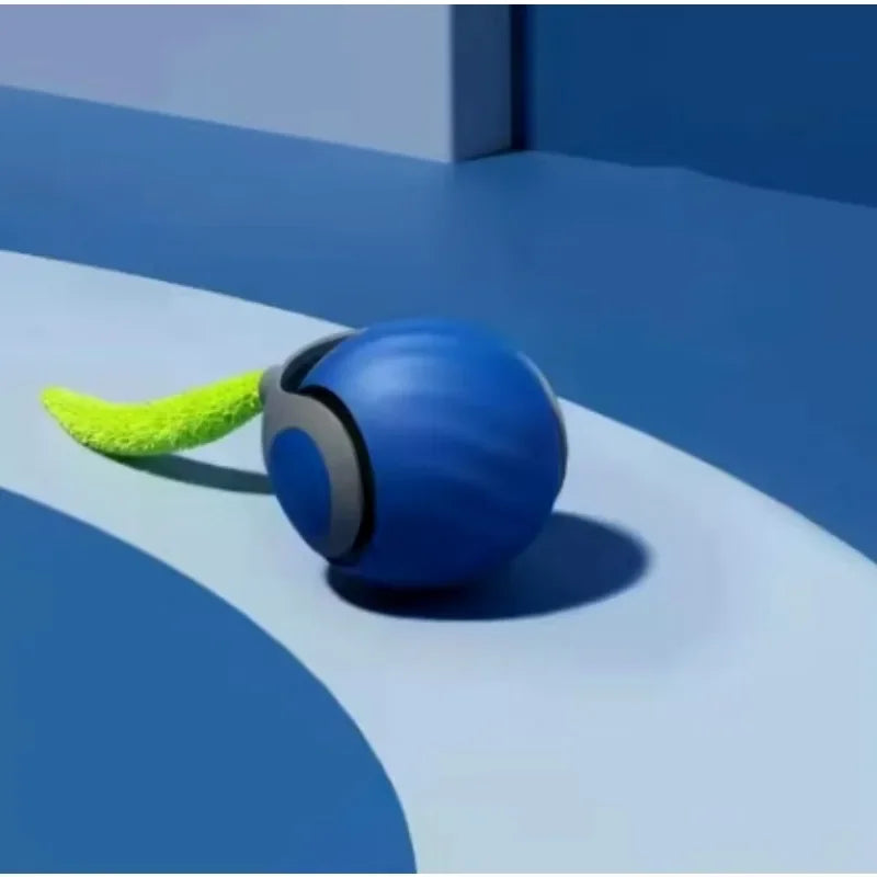 Bolinha Pet Com Rolamento Automático Train