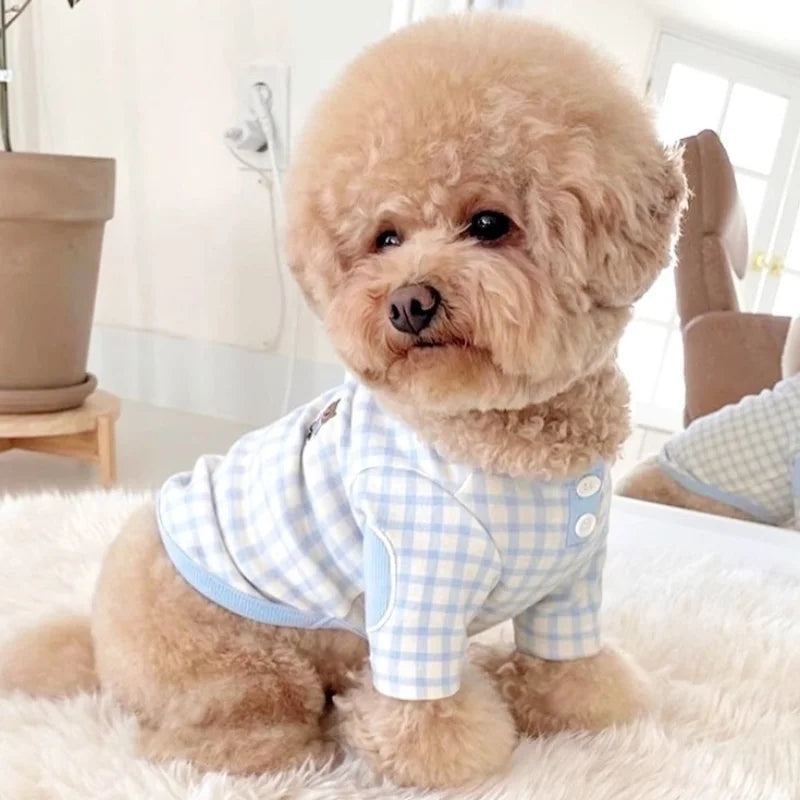 Blusinha Pet Montivi